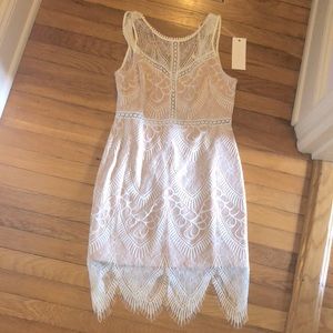 Lace dress